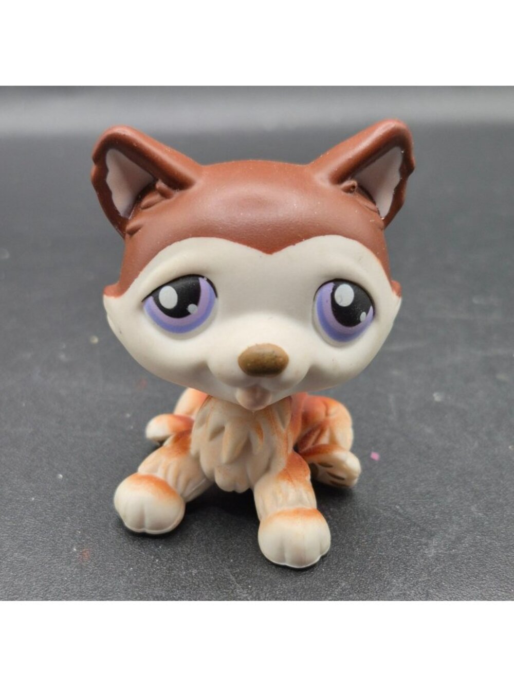 Littlest Pet Shop #427 Husky Dog Figure Brown Cream 2007 Hasbro Collectible Toy